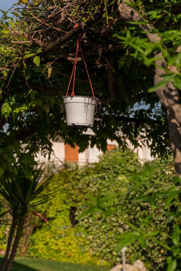 Apartament La Dimora Del Bue Matera Zewnętrze zdjęcie